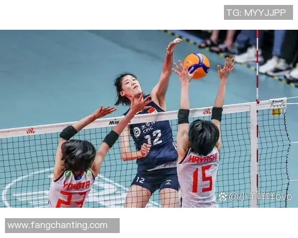 杭州排球队节奏对比深度分析与战术探讨