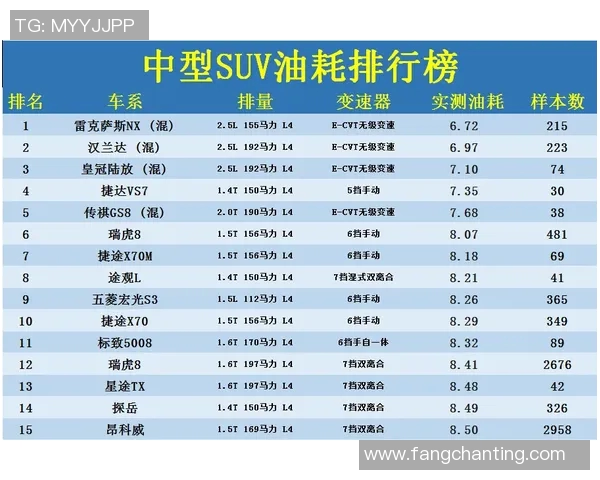 杭州排球队在洲际杯积分榜上以70分稳居第一名表现出色