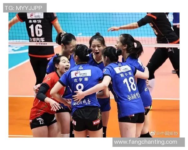 杭州排球队灵活性排名第一最新排球灵活性TOP10揭晓