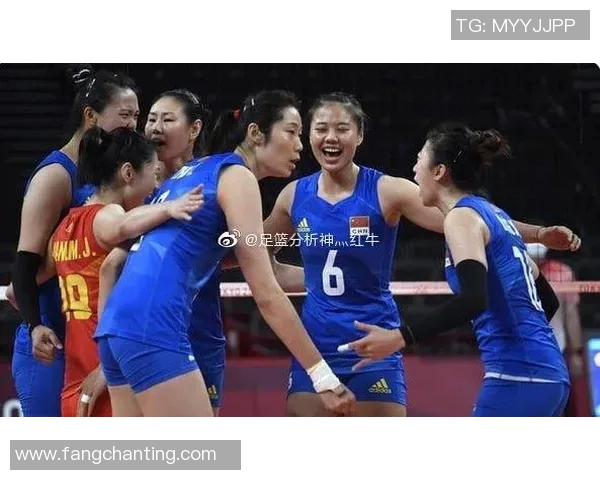 杭州排球队近期状态分析与表现评估探讨